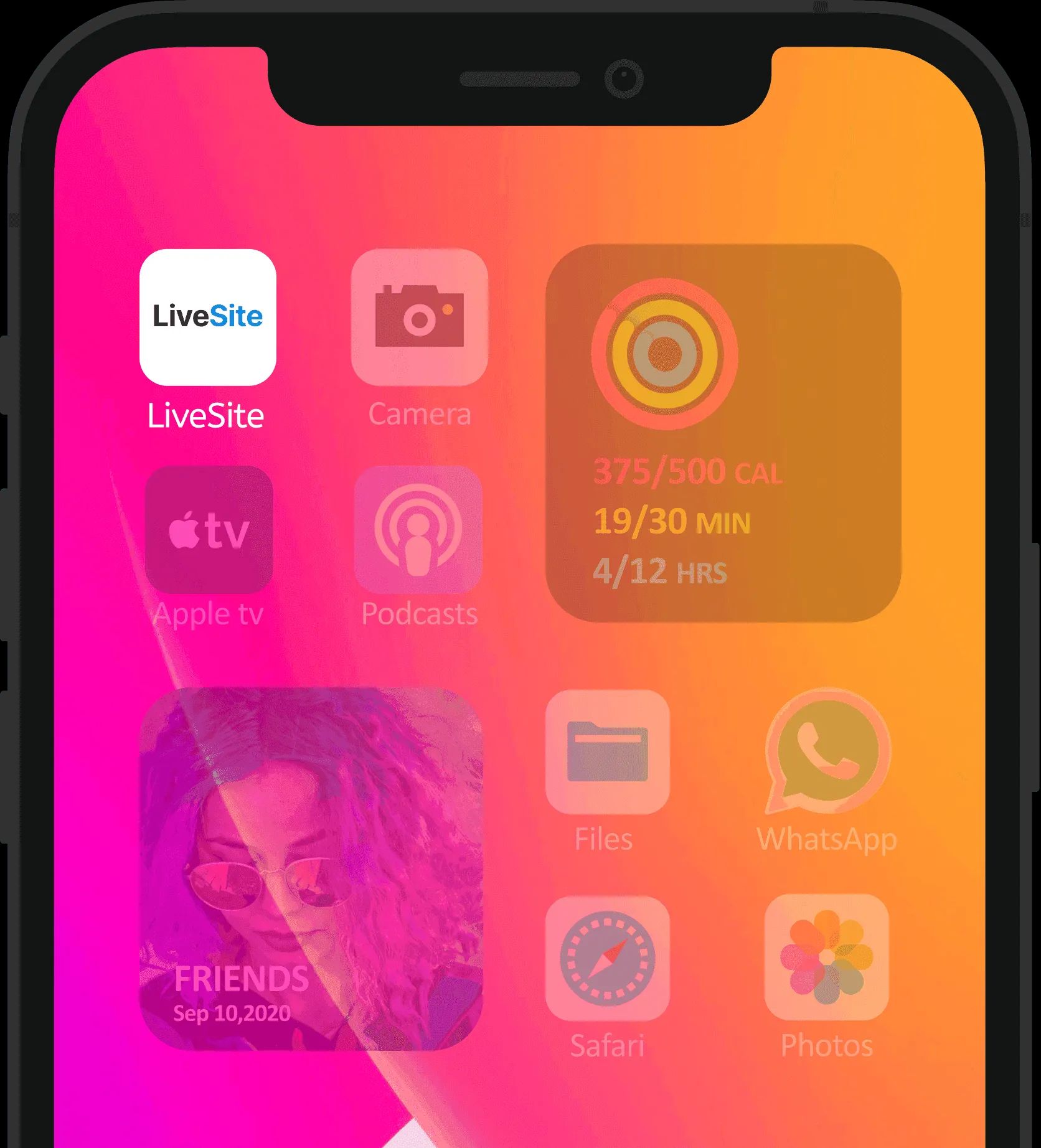 LiveSite app on iPhone home screen