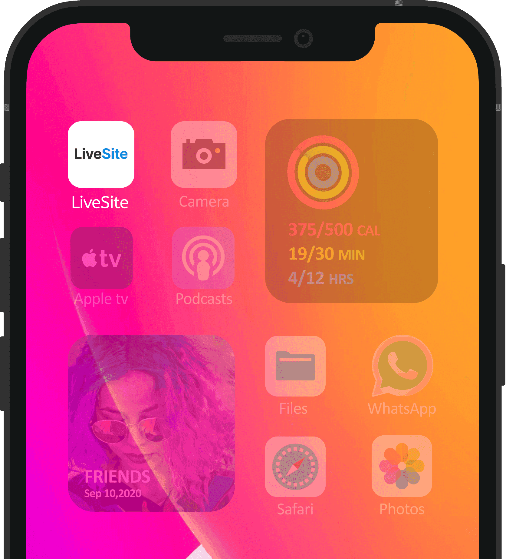 LiveSite app on iPhone home screen